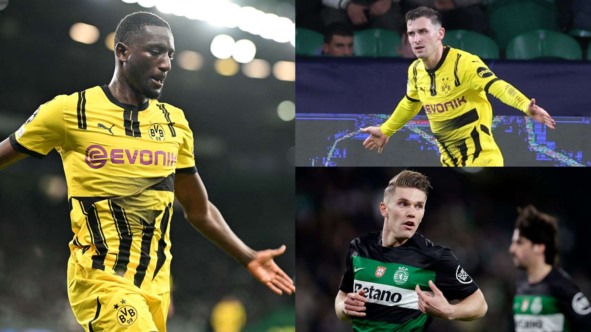 选手的培养 选手的培养